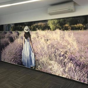 oslikavanje interijera