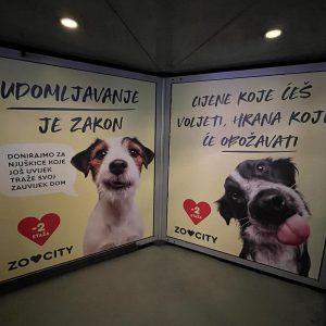 326383041_523525722949812_2319656365413119451_n obljepljivanje izloga naljepnicama